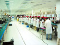 Flextronics+adds+new+industrial+building+at+China+plants