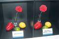 Mitsui+Chemicals+shows+next%2Dgeneration+LED