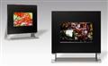 TMD+20%2E8%2Dinch+OLED+display