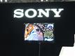 Sony+showing+OLED+at+Finetech+Japan+