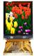 OSD+announces+2%2Dinch+AMOLED+in+mass+production+