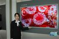 CMO+debuts+57%2Dinch+full+HD+TV+panel+at+FPD+International+2007