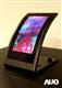 AUO+convex+display