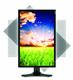 NEC+MultiSync+P+series+22%2DInch+widescreen+desktop+display+%2D+the+P221W
