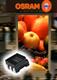 MultiLED+packages+for+video+from+Osram+Opto