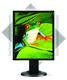 NEC+EA190M+19%2Dinch+monitor+