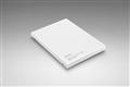 Hynix+client+SSD