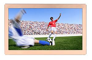 Epson develops 7.1-inch HD LCD panel