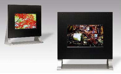 TMD 20.8-inch OLED display