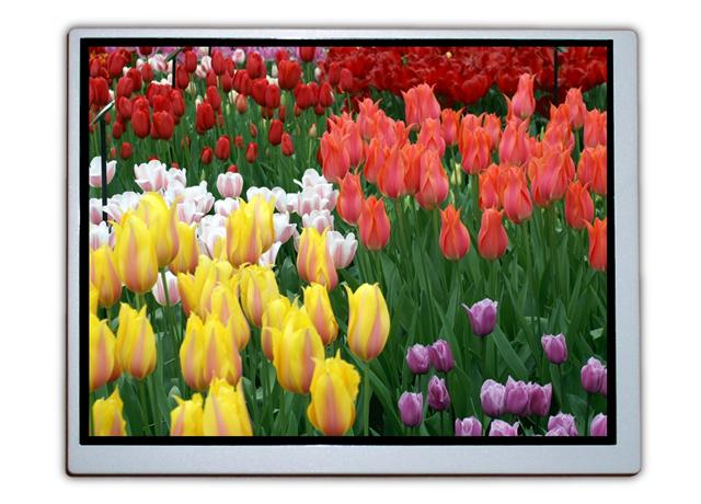 OSD introduces new 5.7-inch TFT LCD