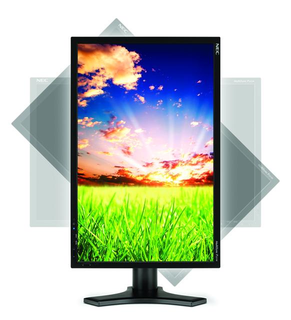 NEC MultiSync P series 22-Inch widescreen desktop display - the P221W