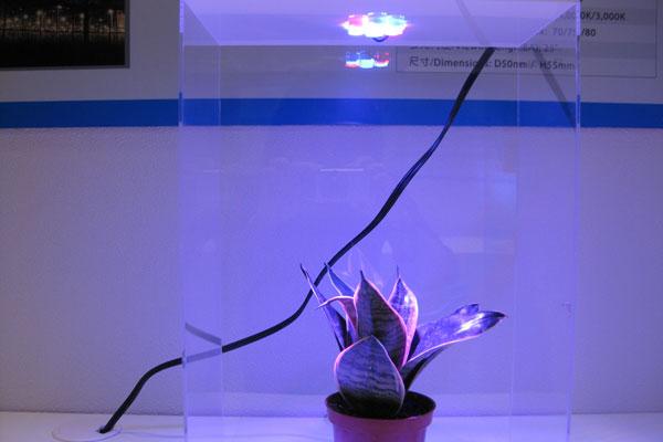 LED light for nurturing plants