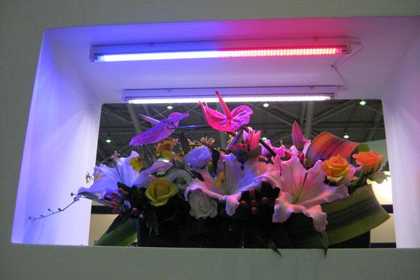 Osram colorful LED lighting for plants