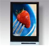 TMD OLED