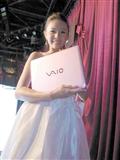 Sony Vaio CS series notebook