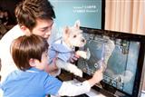 HP launches three new touchscreen all-in-one PCs in Taiwan