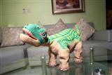 PLEO high-end dinosaur tory