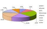 Sapphire market share forecast, 2011