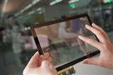 LCD driver IC design firms diversifying products