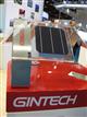 Gintech solar cell