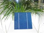 solar cell