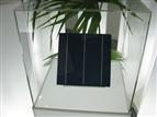 solar cell