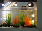 LED lighting