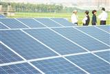 solar panels