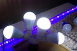 LED light bulb