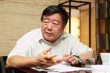 Dinghuan Shi, China State Councellor