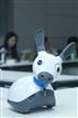 MiRO, a puppy-mimetic companion robot prototype