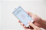 Growing adoption of fingerprint sensors among Android smartphones is driving the IC designers sale