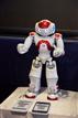 Papago service robot
