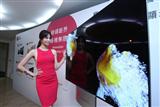 LG launches new OLED TVs in Taiwan