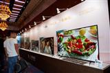 Prices of large-sized panels are declining at manageable paces