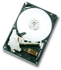 HGST's Deskstar 7K1000