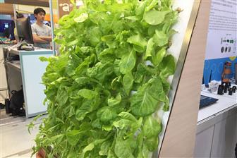 A vertical aeroponic grower