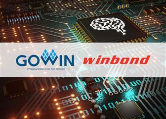 Gowin semiconductor embeds 64Mb HyperRAM DRAM from Winbond