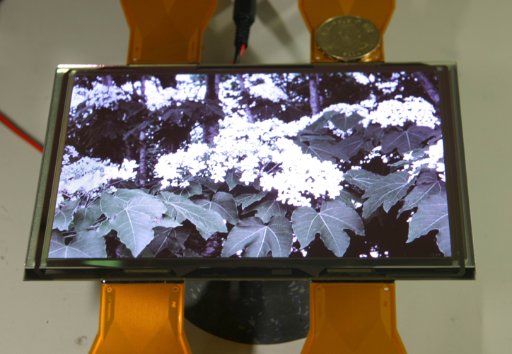 Toppoly 7-inch AM OLED display