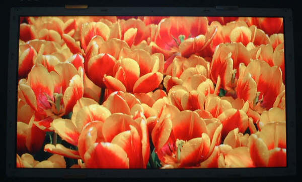 32-inch LCD TV panel with LED backlighting