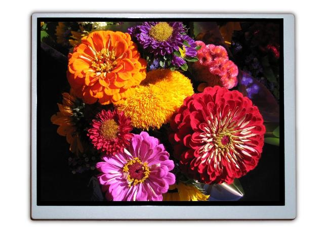 OSD unveils 5.7-inch LED-based TFT LCD display
