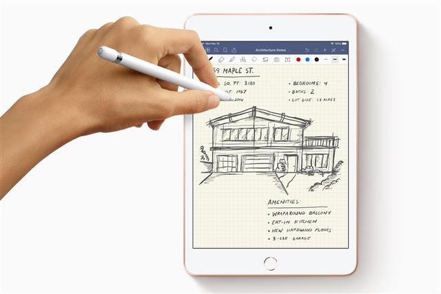 Apple iPad mini with Pencil support